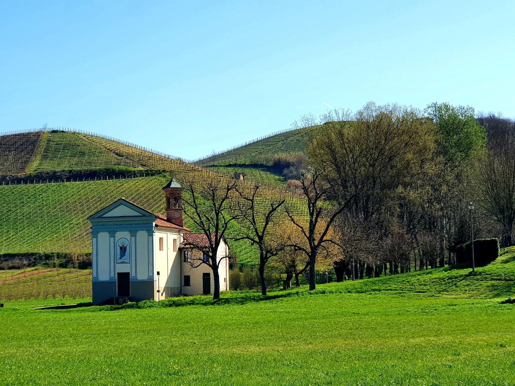 Oasi Del Monferrato - Appartamento Rosso Mombercelli Zewnętrze zdjęcie